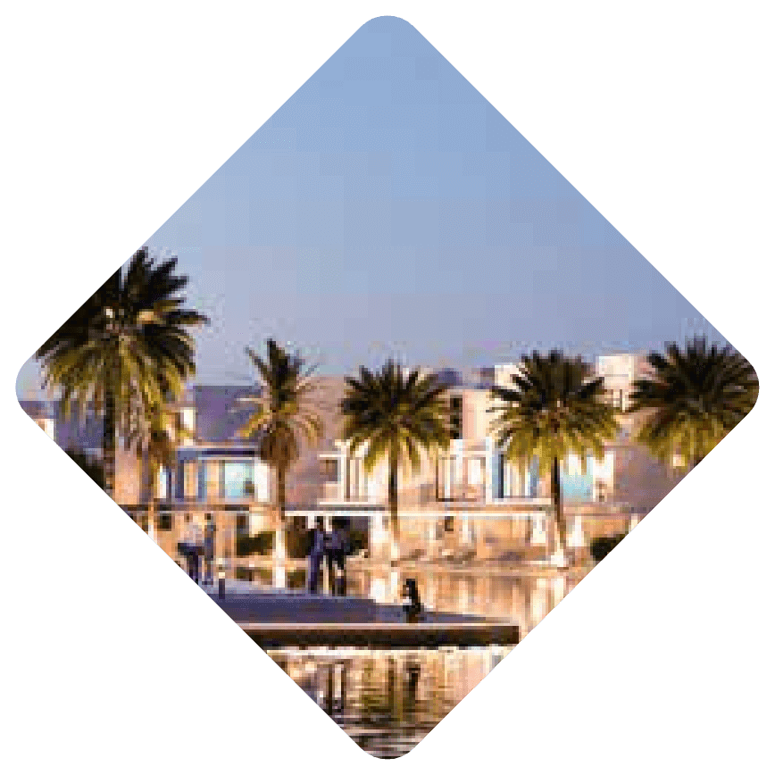 header image 3